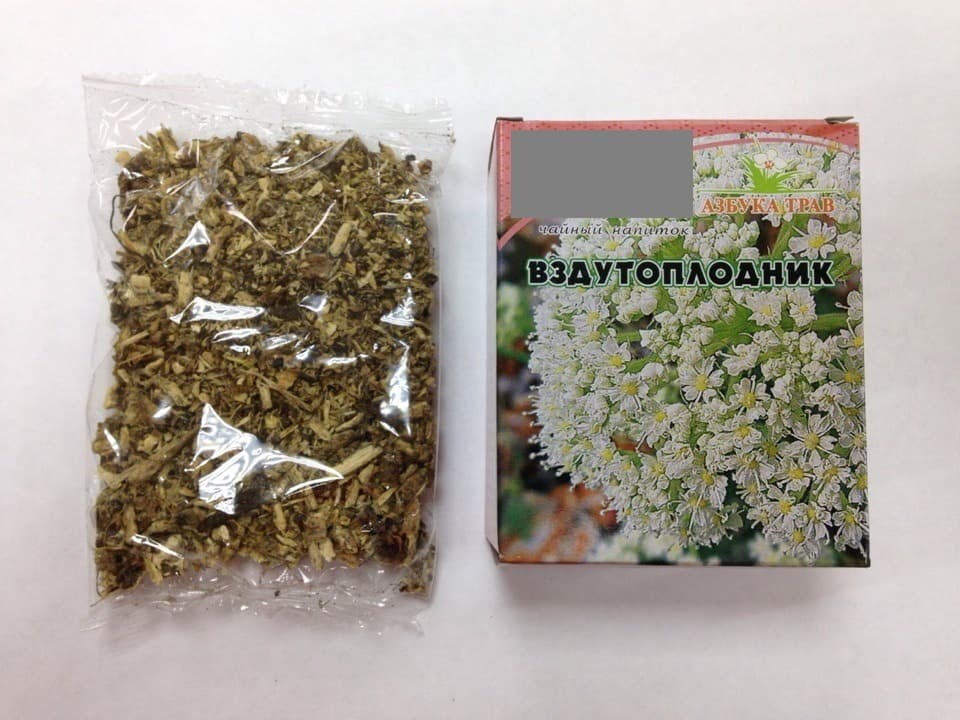 Siberian Pea Root (20g) - Azbuka Trav
