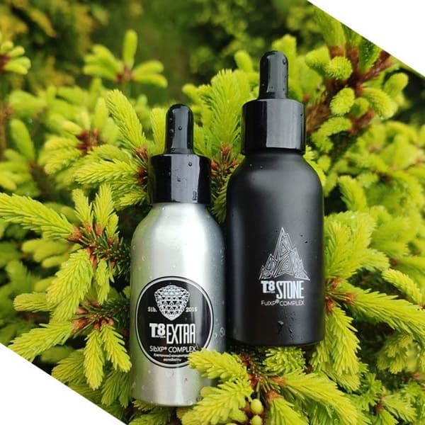 Taiga T8 Extra &amp; Stone T8: Siberian Fir Cell Sap for Immune Support