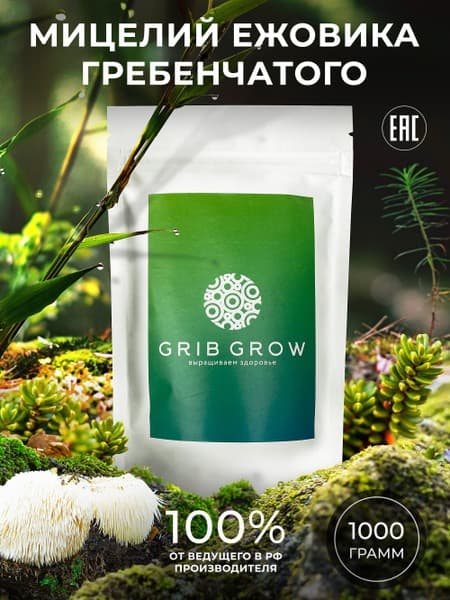 Lion's Mane Mushroom Mycelium Grow Kit - 1kg
