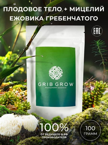 Lion's Mane Mushroom Mycelium &amp; Fruitbody - 100g Grow Kit