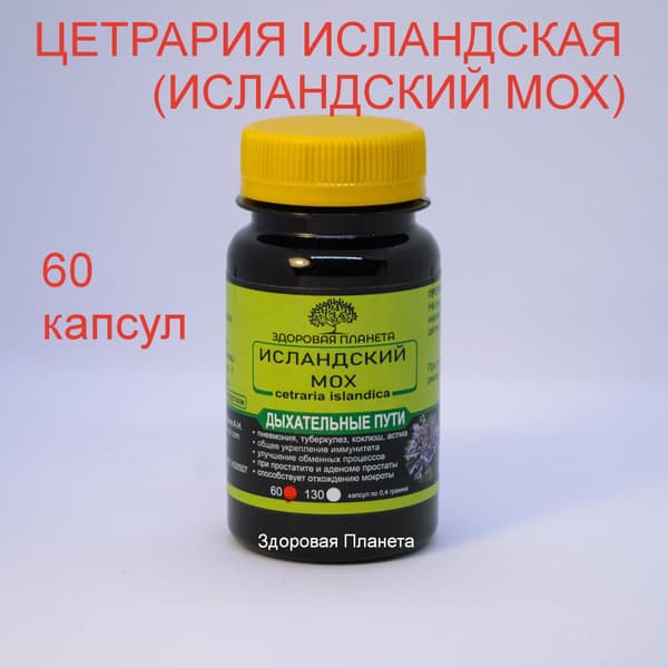Iceland Moss Capsules (Cetraria Islandica) - 60ct Altai Extract
