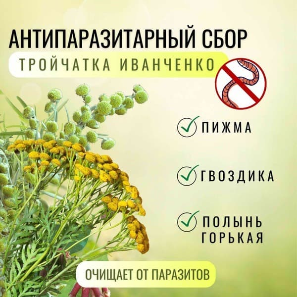 Ivanchenko's Triple Herb Antiparasitic Blend (50g)