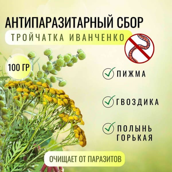 Ivanchenko's Triple Herb Blend: 100g Antiparasitic Herbal Remedy