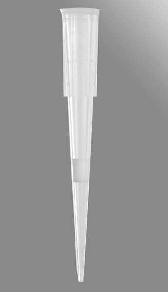 20µL PP Pipette Tips, 1000 Count