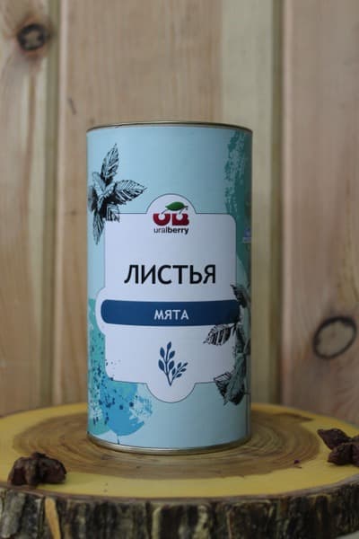 Mint Tea Herb: Cozy Tea Time Infusion