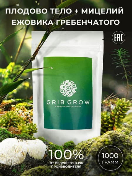 Lion's Mane Mushroom: 1kg Fruiting Body &amp; Grain Spawn