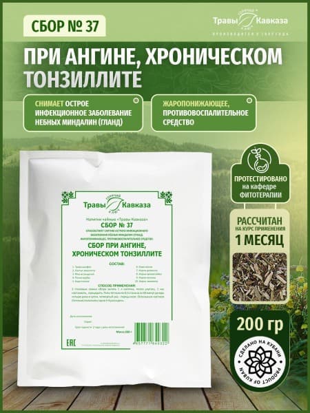 Caucasus Herbs Tea: 37 Herb Blend for Sore Throat &amp; Tonsillitis (200g, Icelandic Moss)