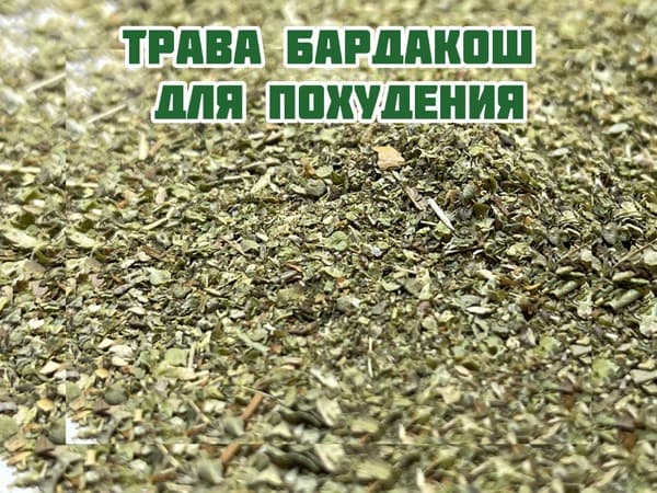 Bardakosh Herb for Weight Loss