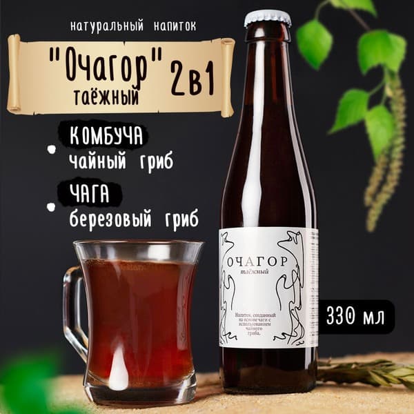 Chaga, Kombucha, and Birch Mushroom Tea: Benefits &amp; Uses
