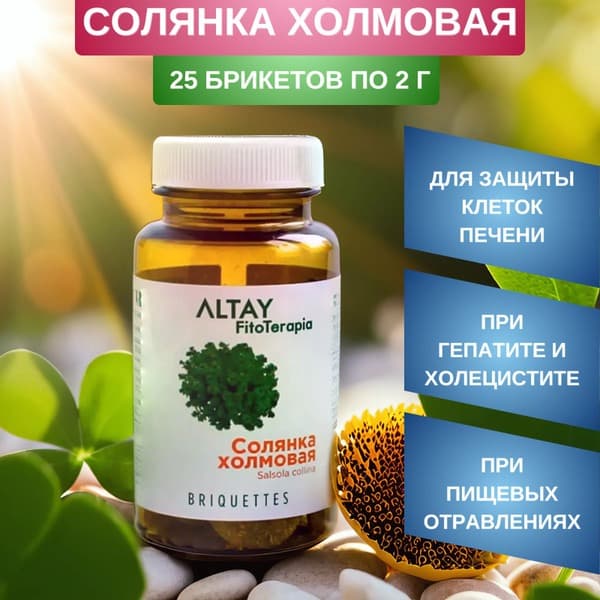 Hillside Solyanka Herbal Supplement: 25 x 2g Sachets for Hepatitis, Cholecystitis &amp; Detox