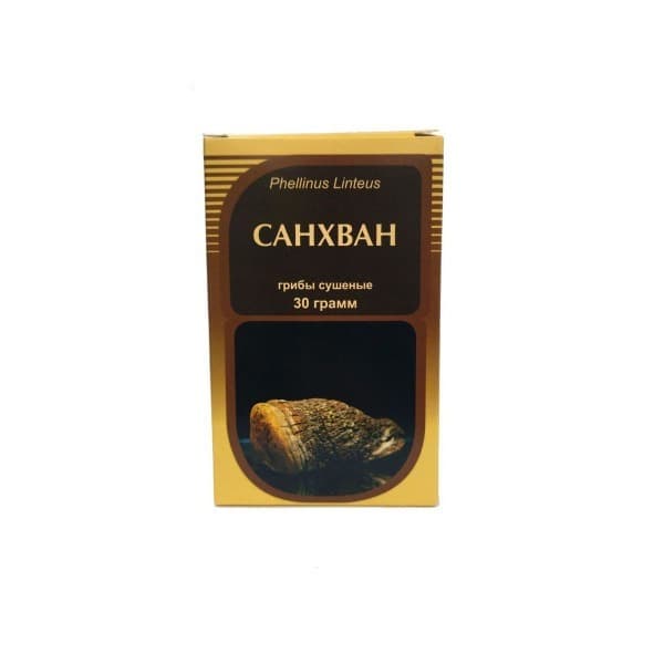 Dried Sanghwang Mushroom (30g) - Horst