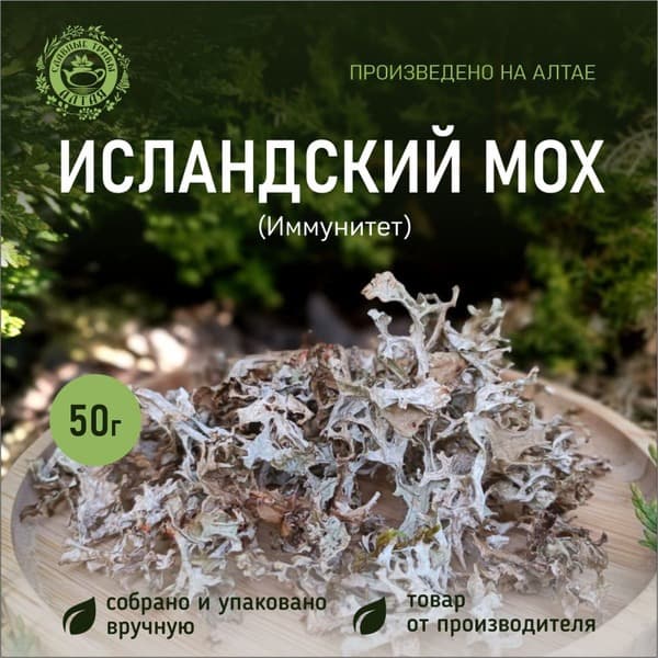 Icelandic Moss: Altai's Natural Antibiotic for Coughs, Colds &amp; Immunity