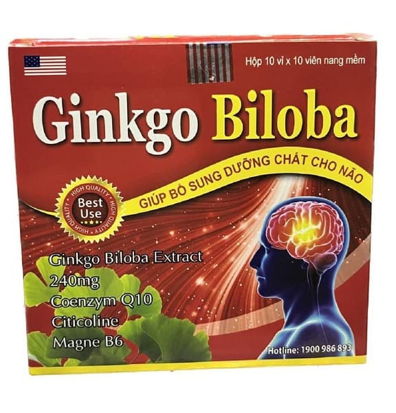 Ginkgo Biloba, Magnesium B6, &amp; CoQ10 (240mg) - 100 Capsules - Vietnam