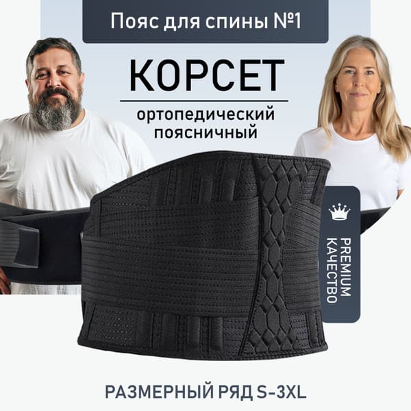 Back Support Brace with Lumbar Support and Rigid Stays