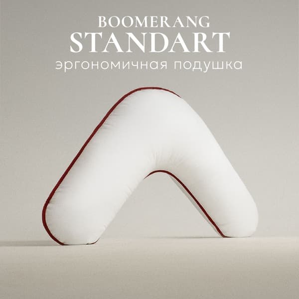 Boomerang Standard Pillow