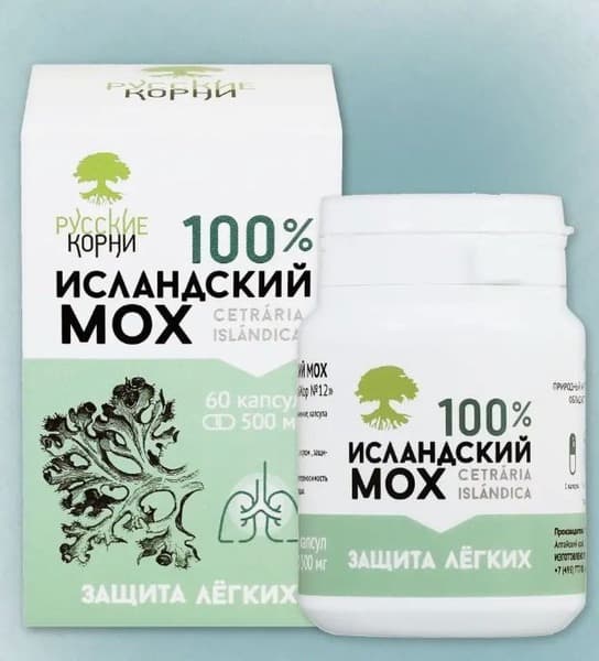 Icelandic Moss (Cetraria Islandica): Cough, Bronchitis &amp; Immune Support