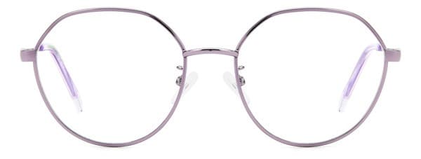 Polaroid PLD D490/G/789 Sunglasses Frames
