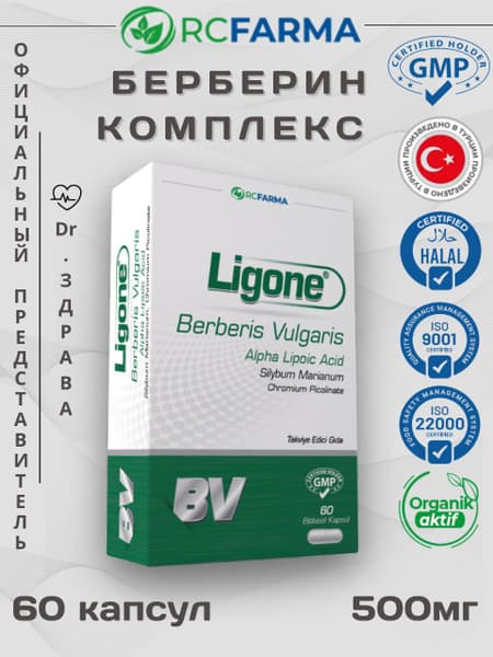Berberine 60 Capsules (Turkey) - RC Pharma Ligone