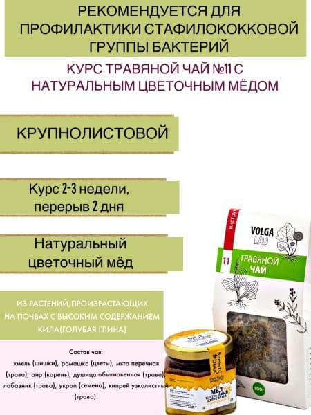 VolgaLadya Herbal Tea #11: Staphylococcus Bacteria Blend with Honey