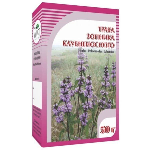 Tuberous Thistle Root 50g, Horst