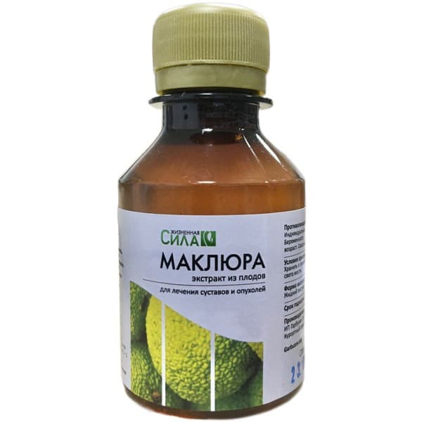 Maclura Tincture (Adam's Apple Extract) - 100ml - Boost Your Vitality