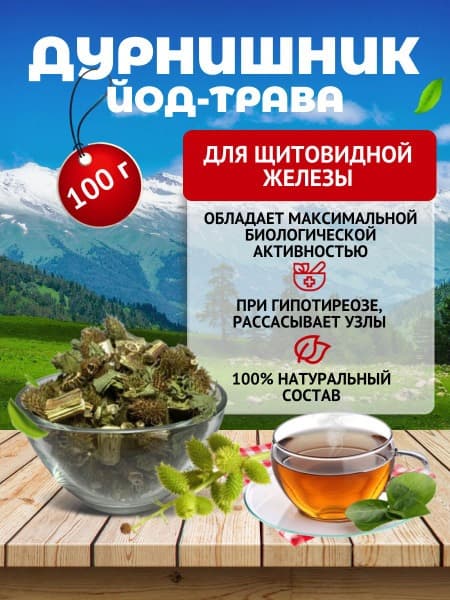 Altai Herbs for Hypothyroidism & Thyroid Inflammation: Burdock Root Benefits
