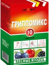 Lekpharm Flupomix powder Forest berries, 10 Pak. 10 g each