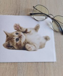 Cat Kitten Eyeglass Cleaning Cloth White Background