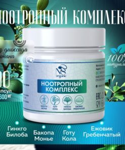 Lion's Mane, Ginkgo Biloba & Bacopa Monnieri Nootropic Supplement - 90 Capsules