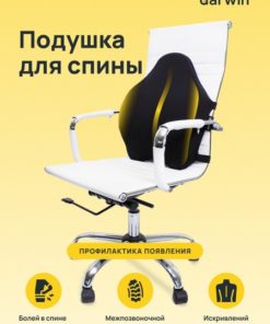 Darwin Memory Foam Seat Cushion: Orthopedic & Back Support (45x55x6cm)