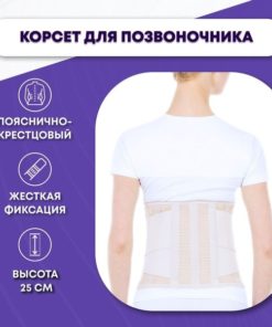 Back Support Belt with Strong Lumbar Sacral Support (24cm, 6 Steel Stays) - Trives T.58.17