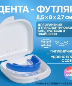 Prosthesis Storage Case - 8.5x8x2.7cm, Multicolor