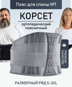 Back Support Brace with Lumbar Support and Rigid Stays