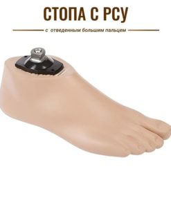 Right Foot Prosthetic Socket, Size 40-41, Art. AS10-C