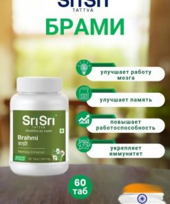Brain & Intelligence Boosting Nootropics