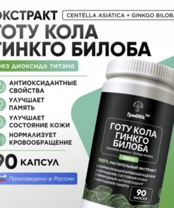 Ginkgo Biloba Capsules 90 Count, 300mg - ГрибNik