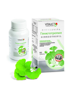 Ginkgo Biloba for Brain, Memory & Focus: 60 Tablets