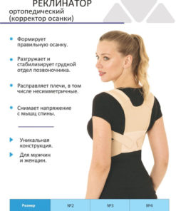 Posture Corrector Brace for Adults & Kids - Crate Size #4