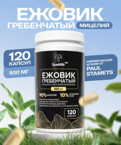 Lion's Mane Capsules (120 x 500mg) - GribNik