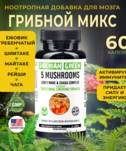 Lion's Mane, Chaga, Reishi & 2 More: 60-Count Nootropic Mushroom Blend