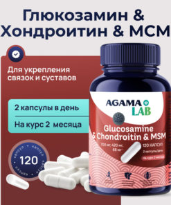 Glucosamine Chondroitin MSM: Joint & Ligament Support (120 Capsules)