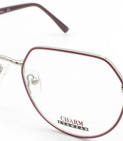 CHARM 2700 C4 Eyeglass Frames