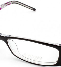 CHARM 3899 Eyeglass Frames - C38995A