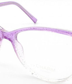 CHARM 7065 C2 Eyeglass Frames