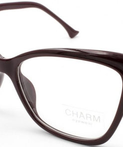CHARM 529 C5 Eyeglass Frames