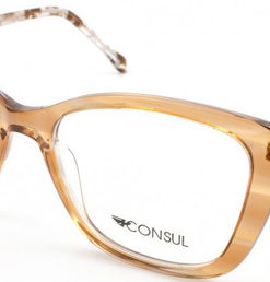 Consul 2310 C2 Eyeglass Frames
