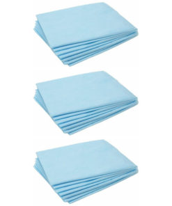 Briz Disposable Wipes, 40x60cm, 100 Count (3 Packs)