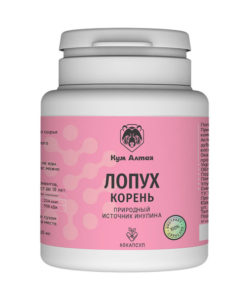 Burdock Root Extract 60 x 500mg Capsules - Altai Kum