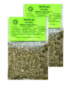 String of Pearls Herb: 50g (2 Packs) - Medicinal Herbs
