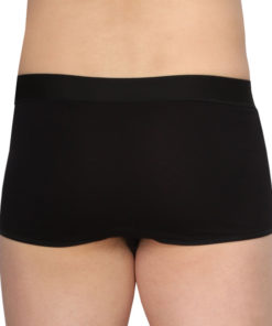 Inguinal Hernia Truss B-460